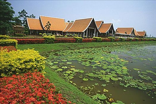 水塘,正规花园,素可泰,国际机场,泰国