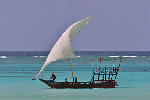 独桅三角帆船,航行,青绿色,水,桑给巴尔岛,坦桑尼亚,非洲