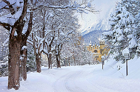 锡菲尔,冬天,城堡