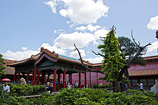 北京故宫御花园