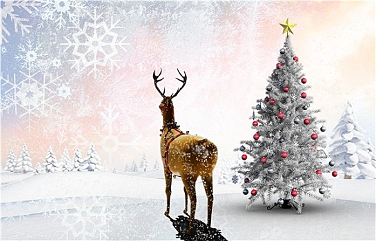 合成效果,图像,圣诞树,驯鹿