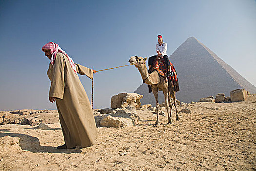 女青年,游客,骑,骆驼,领着,引导,吉萨金字塔,埃及