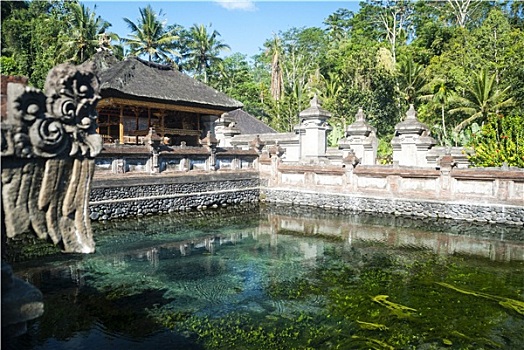 庙宇,神圣,水池,巴厘岛,印度尼西亚