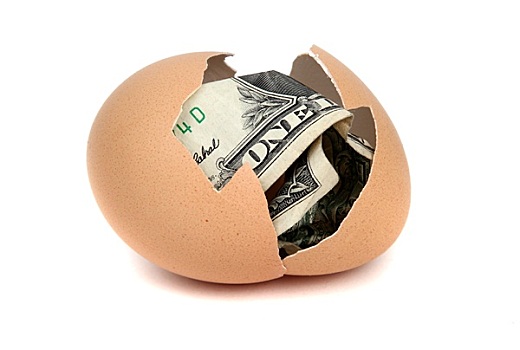 一美元,货币,蛋壳