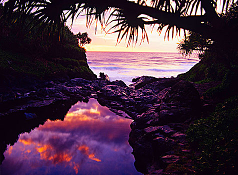 夏威夷,毛伊岛,可爱,太平洋,哈莱亚卡拉国家公园