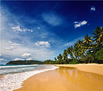 自然风光,海滩,斯里兰卡