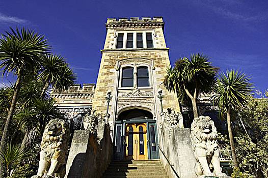 城堡,南岛,新西兰