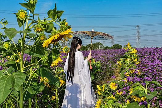 花丛,中的,汉服,古装,美女