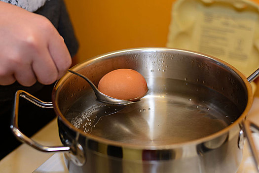 蛋,烹饪,炖锅
