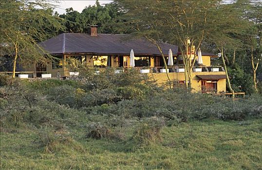 家,住宿,阿鲁沙,国家公园,坦桑尼亚