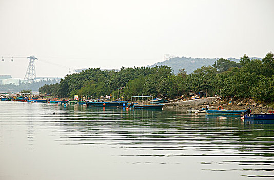 渔船,海岸,香港