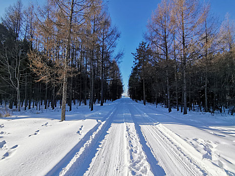 冰雪世界