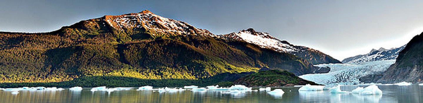 景色,冰山,漂浮,湖,棉田豪冰河,背景,通加斯国家森林,靠近,东南阿拉斯加,夏天