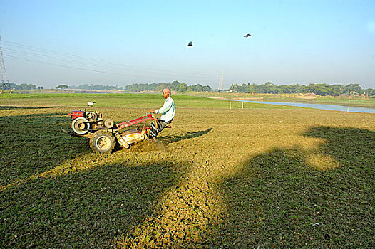 农民,陆地,达卡,孟加拉,十一月,2007年