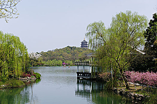 西湖十景,苏堤春晓·雷峰塔