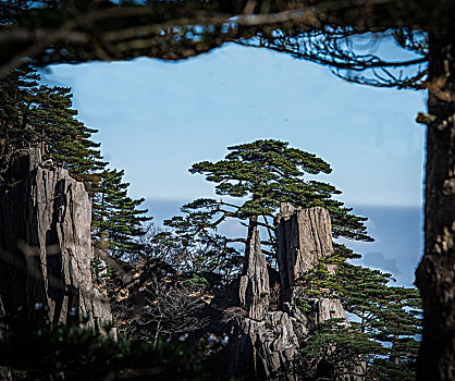 中国黄山,huang,shan,china