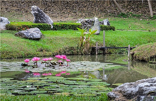 亚洲,花园装饰