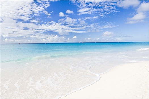 海滩,巴巴多斯,加勒比