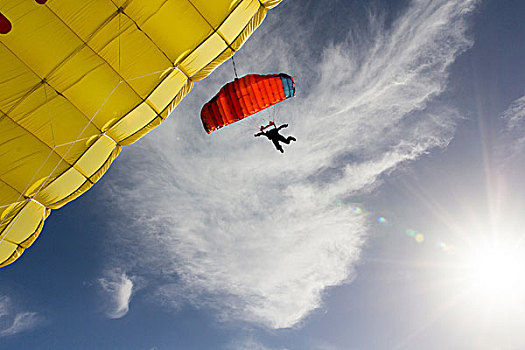 女性,跳伞运动员,操纵,黄色,跳伞