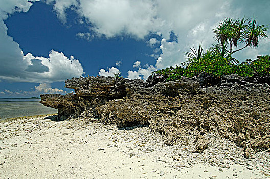 岩石,海滩,塞舌尔