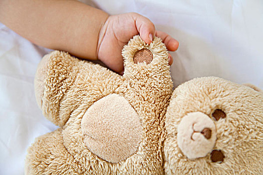 婴儿,握手,泰迪熊,局部