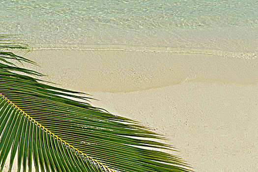 热带沙滩,自然,风景,场景,白沙,夏天
