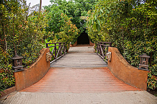 泰国清迈兰花园的小桥