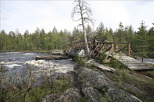 木质,上方,姆多斯国家公园,瑞典