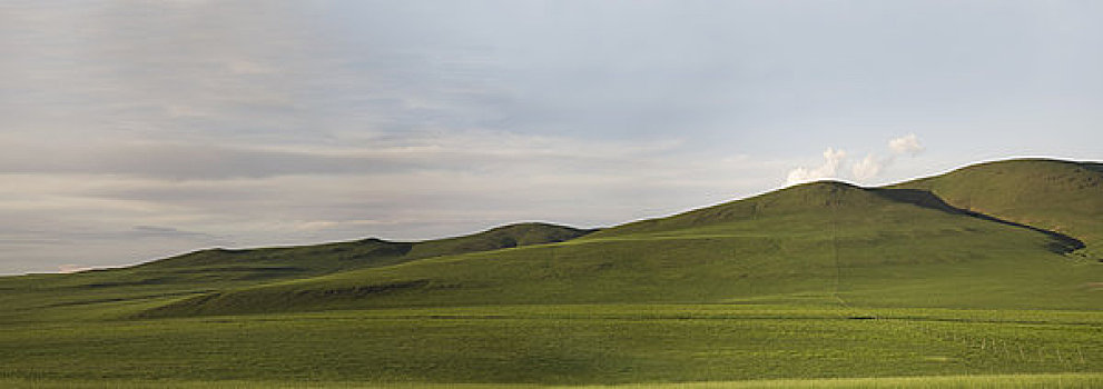 山坡,草地,内蒙古,中国