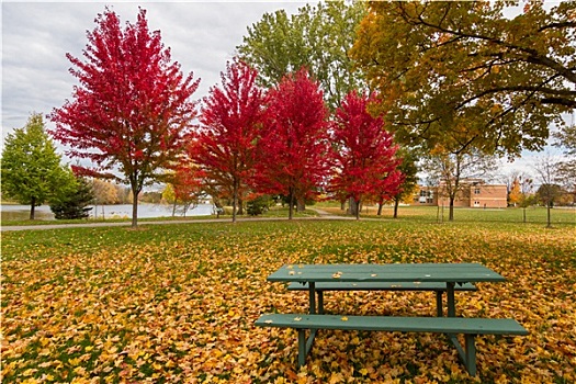 渥太华,秋天,加拿大