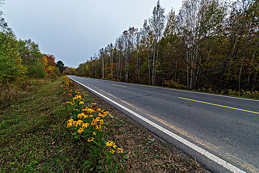 林间公路