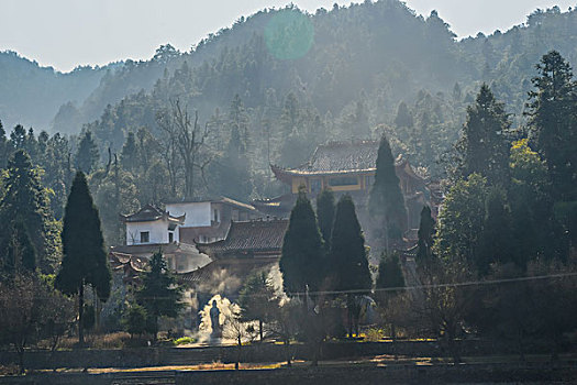 树,蓝,背景,池塘,倒影,烟,枯枝,寺庙,太阳,阳光,水,岸,淤泥,泥潭,村庄,山岗