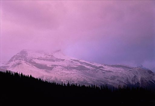 哥伦比亚冰原,区域,碧玉国家公园,艾伯塔省,加拿大