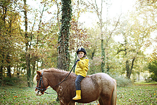 小女孩,骑,小马