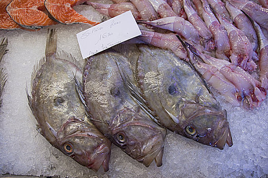 海鲂,鱼肉,出售,市场货摊,威尼斯,威尼托,意大利