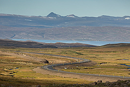 冰岛,道路,弯曲,秋色,山,背景