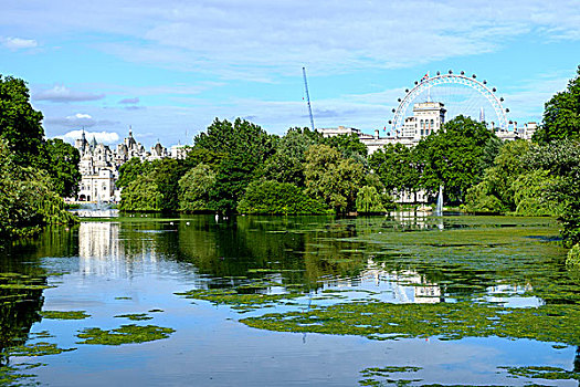 公园,皇家,威斯敏斯特,中心,伦敦,英格兰