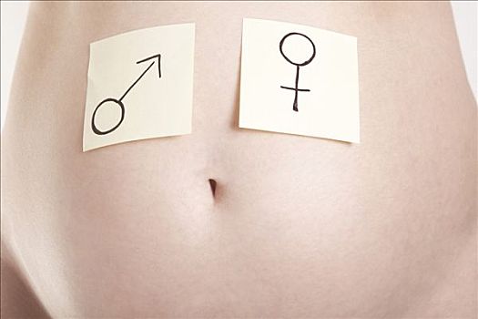 n次贴,男性,女性,象征,怀孕,腹部