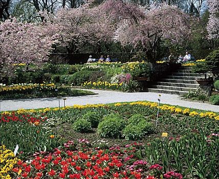 公园,植物,花,盛开,长椅,人,坐,楼梯,小路