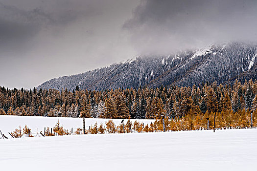 东天山雪景美如画