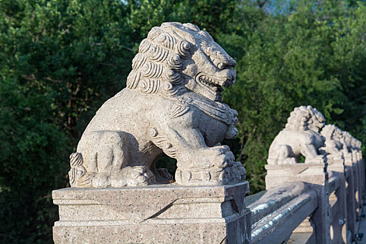 乌鲁木齐西大桥上的石狮