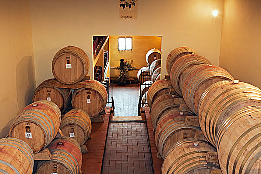 葡萄酒,地窖,葡萄酒厂,蒙大奇诺,托斯卡纳,意大利,欧洲
