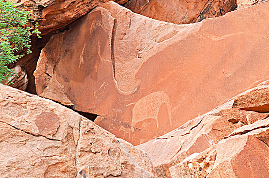 岩刻,石头,杜维尔方丹,世界遗产,达马拉兰,区域,纳米比亚,非洲