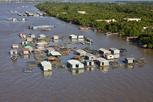 漂浮,房子,湄公河三角洲,湄公河,越南,亚洲