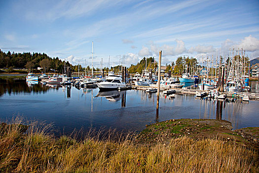 码头,古雅,渔村,不列颠哥伦比亚省,加拿大