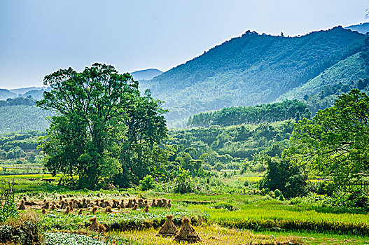 山景风光