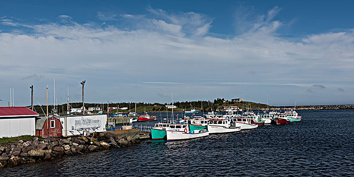 渔船,停泊,港口,布雷顿角岛,新斯科舍省,加拿大