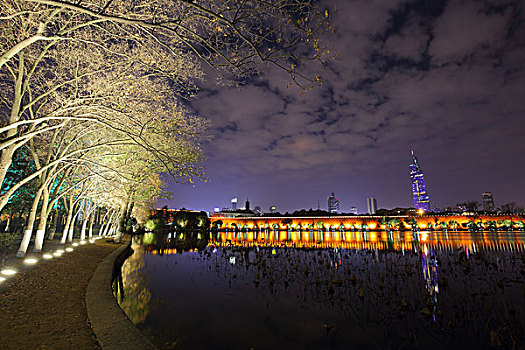 南京玄武湖夜景