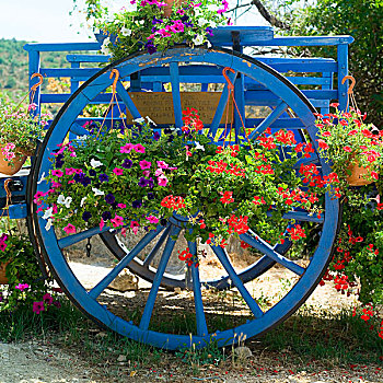 轮子,古老,蓝色,乡村,普罗旺斯,法国