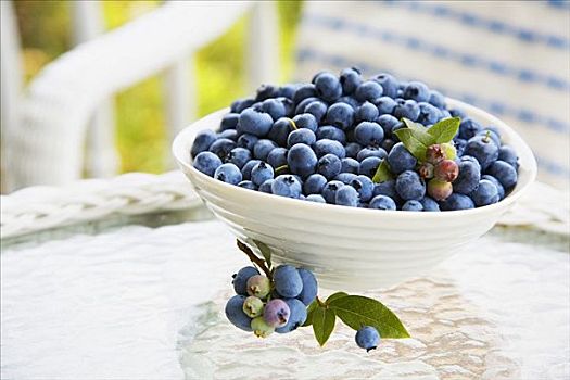 新鲜,蓝莓,白色,碗